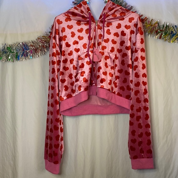 Dolls Kill Tops - NWT Loyal Maneater SugarThrillz Cropped hoodie (Jennifer’s Body)
